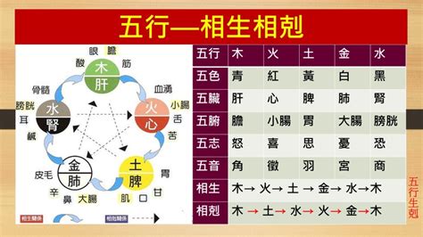 金剋木化解|【金剋木】正確應用方式，五行相生也相剋 